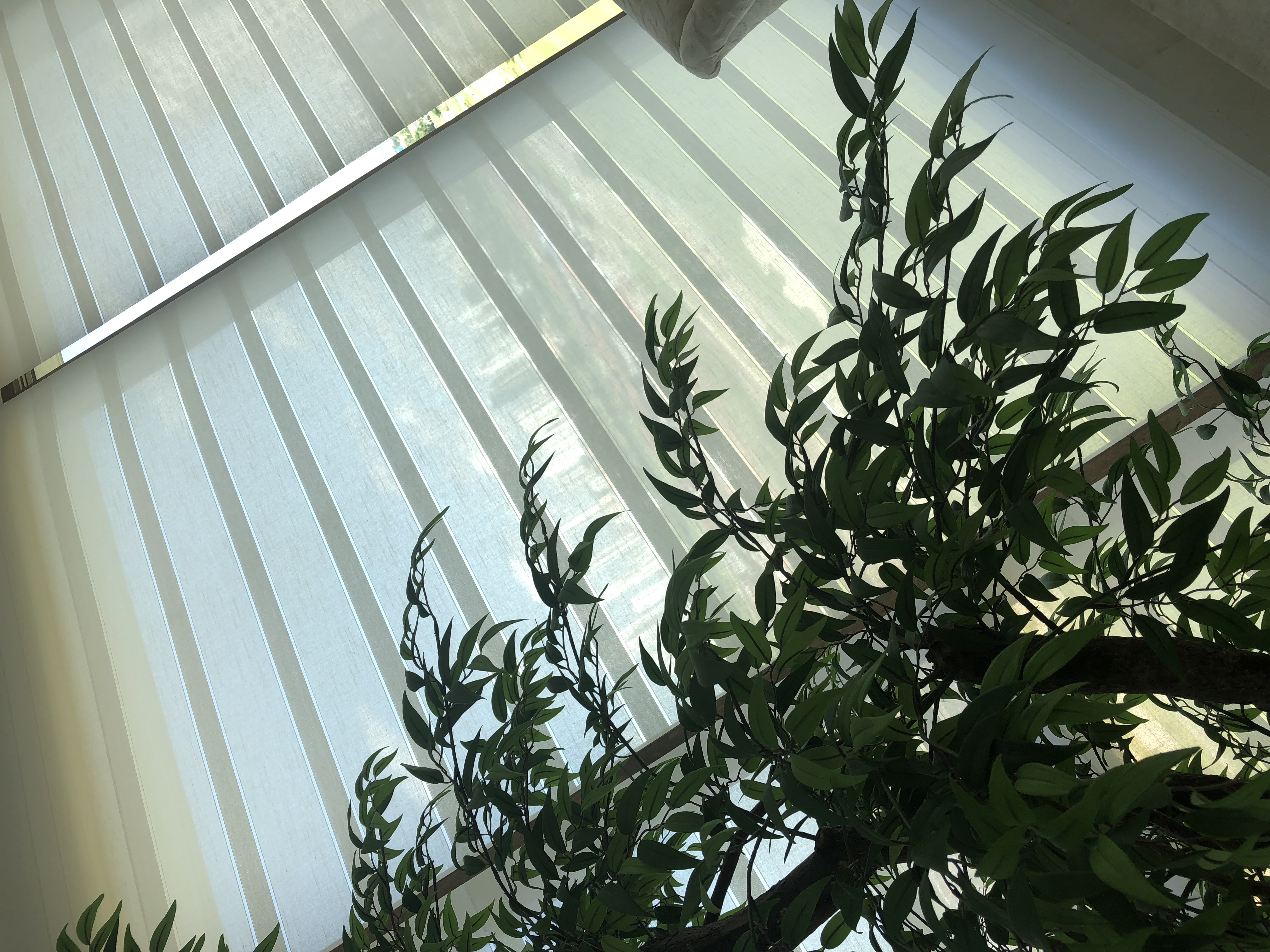 Cortinas roller en oficina - privacidad y elegancia